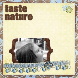 tastenature.jpg