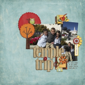 temple-trip-wr.jpg