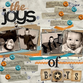 the-joys-of-boys-web.jpg