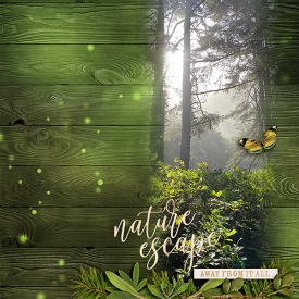 the-woods.jpg