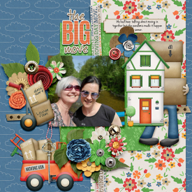 thebigmove-copy.jpg