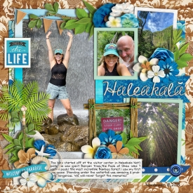 thisisthelife2020web.jpg