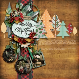 tnp-ABUSHCHRISTMAS-LEA01.jpg
