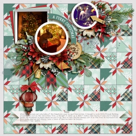 tnp-AQUILTEDFANCYv3-tnp-ABUSHCHRISTMAS-LEA.jpg