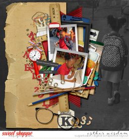 tnp-CLASSROOMANTICS-pd4_babe.jpg