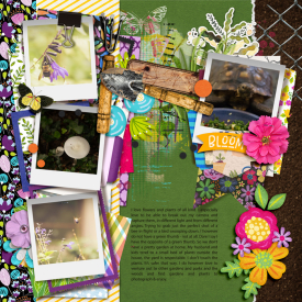 tnp-CLASSROOMANTICSv2-cheryl1.jpg