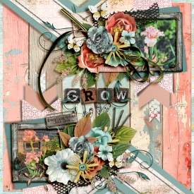 tnp-LOVEGROWSHERE-LEA1.jpg