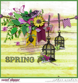 tnp-SPRINGFLING-pd1_babe.jpg