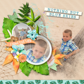 tnp-tropicalbreeze-cheryl1-challjuly26.jpg