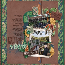 treetop-view-700.jpg