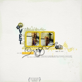 triptothevet-copy.jpg