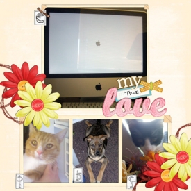 truelove_web.jpg