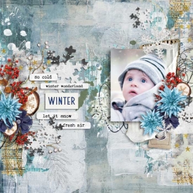 ts-ainwinterwoods---700.jpg