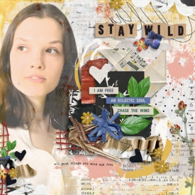 ts-eclectic-CT.jpg