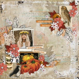 ts-pumpkinpicking-CT.jpg