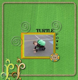 turtle_power.jpeg