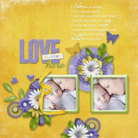 vd-love.jpg