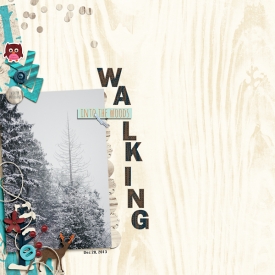 walkingintothewoods-copy.jpg