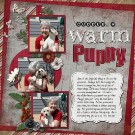 warn-puppy-2.jpg