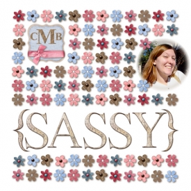 web-Sassy-Scraplift.jpg