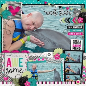web-_01-26-2016_Brent_Dolphins_cs-HP169_ayittt-beawesome.jpg