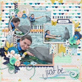 web-_01-26-210_-Me_DolphinDiscovery-cs_seq9-ayittt_bepositive.jpg
