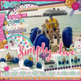web-_01-28-2016_WaterTrikes-csHP30-libbywp_livesimply.jpg