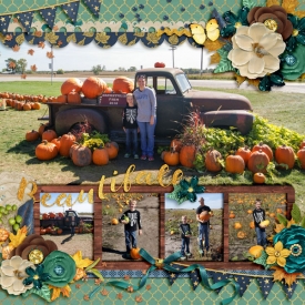 web-_10-9-16_Harvestville-megsc_STHV8-ashawsflergs_beautifall.jpg