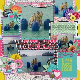 web4K-_01-28-2016_WaterTrikes-cs_HP176-ayi_loveoutloud.jpg
