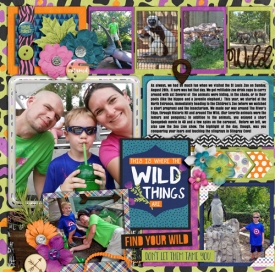 web4k_08-28-16_StLouisZoo_Left_cs_DIUb4-ayimcato_wild.jpg