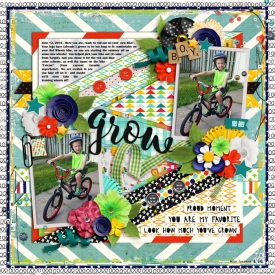 web7_06-12-16_NewBike-cs_take2-ayi-sb-ttt_lovehowmuchyouvegrown.jpg