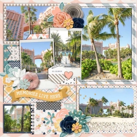 web_01-12-2018_Left-Atlantis-cs-DIUb13-ayiriverrose-momentslikethese.jpg