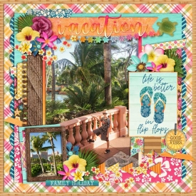 web_01-12-2018_Stefan-cs-HP178-dsi-tropicalvibes.jpg