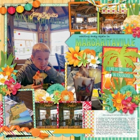 web_01-14-2018_Margartiaville-cs-HP232-dsi-goingtropical.jpg