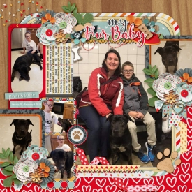 web_02-04-2019_Gotham-cc-HP263-megcs-dv-pet.jpg