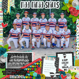 web_07-12-2020_Team-cs-HP303-ayi-_adninjaskills.jpg