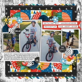 web_08-26-2017_Bike-cs-retake4-ayi-rawsome.jpg