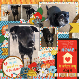 web_12-2020_Left-Bark_Play-cs-DIU22-megsc_petrescue.jpg