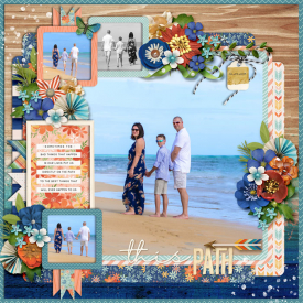 web_12-24-2019_OnyxProf-cs-HP295-kcb-trailblazer-path.jpg