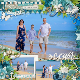 web_12-24-2019_Prof-Beach-cs-pfocusmegaV2-kcb-aot-intothesea.jpg