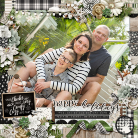 web_12-25-2018_Pro-cs-pfocusmegaV2-kcb-frostysfarmhouse.jpg