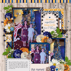 web_12-25-2019_Xmastree-cs-set239-megsc-ilovemyfamily.jpg