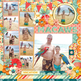web_12-26-2019Right-Macaws-cs-DIU22-jadyday-justbeachy.jpg