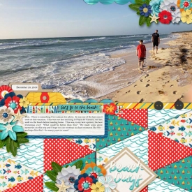 web_12-28-2018_BeachWalk-cs-HP214-shawbangs-ilovesummer.jpg