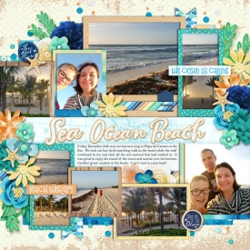 web_12-28-2018_BeachWalk-cs-palooza4-wendyp-oceans.jpg