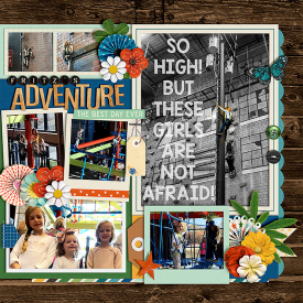 web_Branson-AdventurePG2.jpg