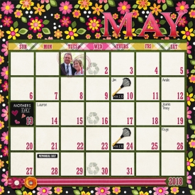 web_djp332_AmandaYi_Amotheris_SwL_12x12_May2018CalendarTemplate.jpg
