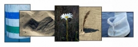 web_photo-challenge.jpg