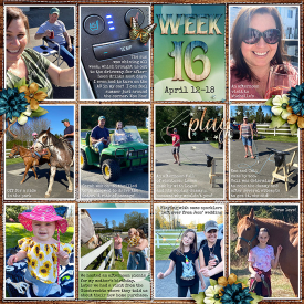 week16_DSI-OutdrExplForest_treed-stitchedgrids2_web.jpg