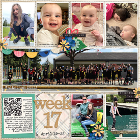 week17_ezane-LongDaysShortYears_treed-stitchedgrids2_web.jpg